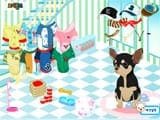 Viste a un chihuahua - Juegos de Vestir Online